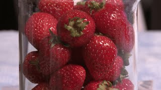 How to extract DNA from strawberries