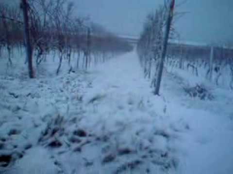 ŚNIEG,  hessloch 13.12.2009 , godz. 8.35