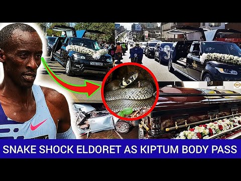 UCHAWI: Eldoret Town Shocked By A Big Snake As Kelvin Kiptum's Body Passed Through The Streets