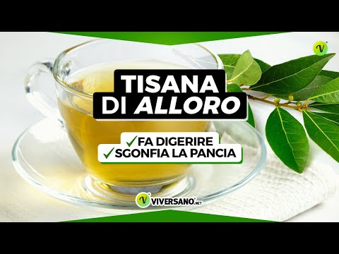 TISANA di ALLORO: digestiva e sgonfia pancia - Ricetta e Benefici | ViverSano.net