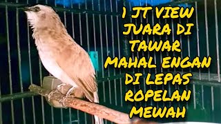 Download lagu Trucuk Kebo Juara Di Tawar 50 juta Mahal Engan Di lepas, Ropelan Mewah mp3 Download lagu Trucuk Kebo Juara Di Tawar 50 juta Mahal Engan Di lepas, Ropelan Mewah mp3