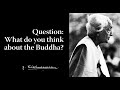 Question What Do You Think About The Buddha Krishnamurti