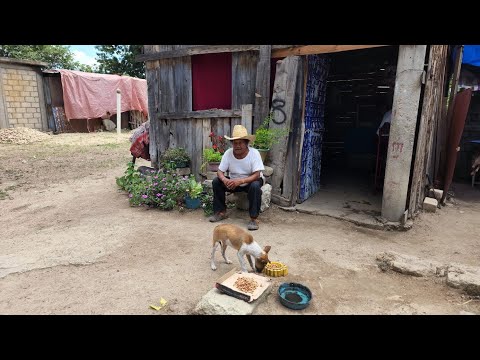 "Le traigo un taquito a mi perrito por si lo encuentro, está perdido y no ha comido"|Tío Arnulfo.
