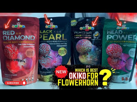 Amazing Video On Okiko Flowerhorn Fish Food || Which Is Best For Flowerhorn Fish? || Blue Aquatics