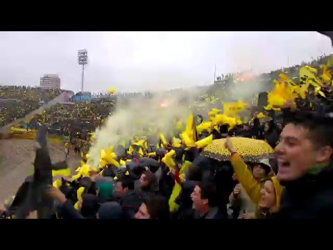 "recibimiento peñarol vs nacional clausura 2016" Barra: Barra Amsterdam • Club: Peñarol