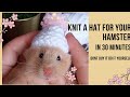 Knit A Hat For Your Hamster Dont Buy It Do It Yourself Tricote Un Bonnet Pour Ton Hamster En 30 Min