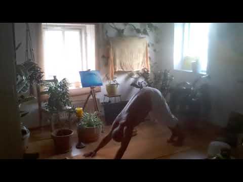 Sonnengruß und Schulterstand-Zyklus