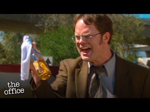 The Office but everyone is literally breaking the law