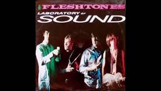 The Fleshtones - Nostradamus Jr