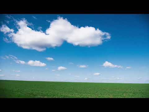 Elementary Truth - Oleg Pissarenko