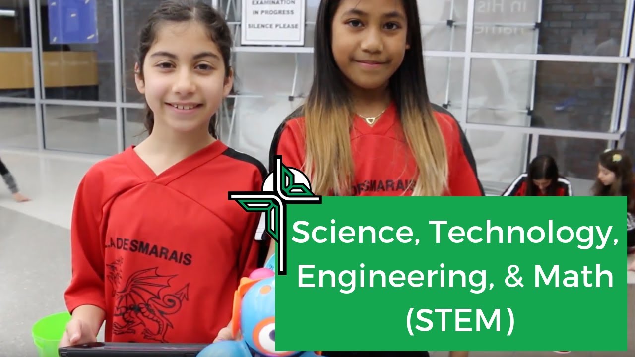 Science, Technology, Engineering, & Math (STEM)