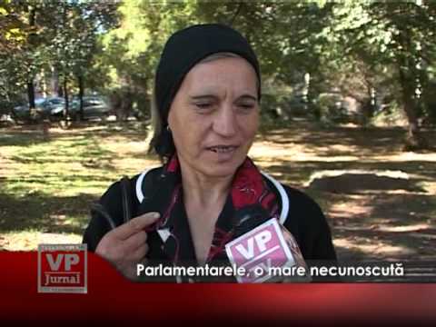 Parlamentarele, o mare necunoscută