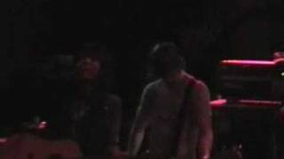 Rookie of the Year - The Blue Roses