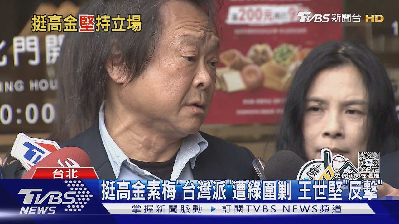 影音/挺高金素梅「台灣派」遭綠圍剿 王世堅「反擊」