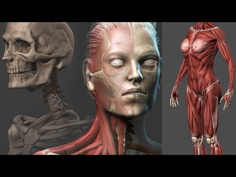 All our courses for 90 Off Get the coupon