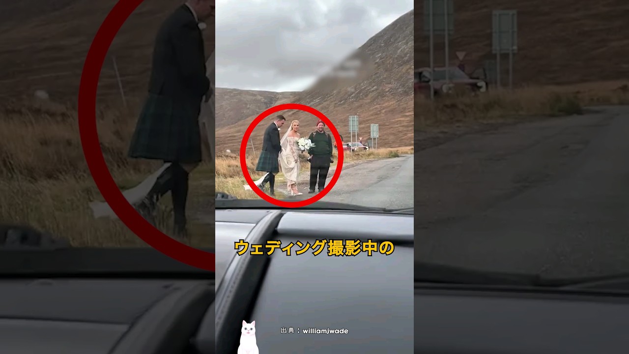 ウェディング撮影中にドーパミン大爆発した瞬間