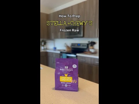 How To Transition Your Cat to Raw