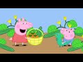 Peppa Pig Hindi Watch All Episodes 34 Lunch
