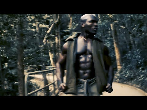 Apathy VS Enlightenment, A Guide To Understanding