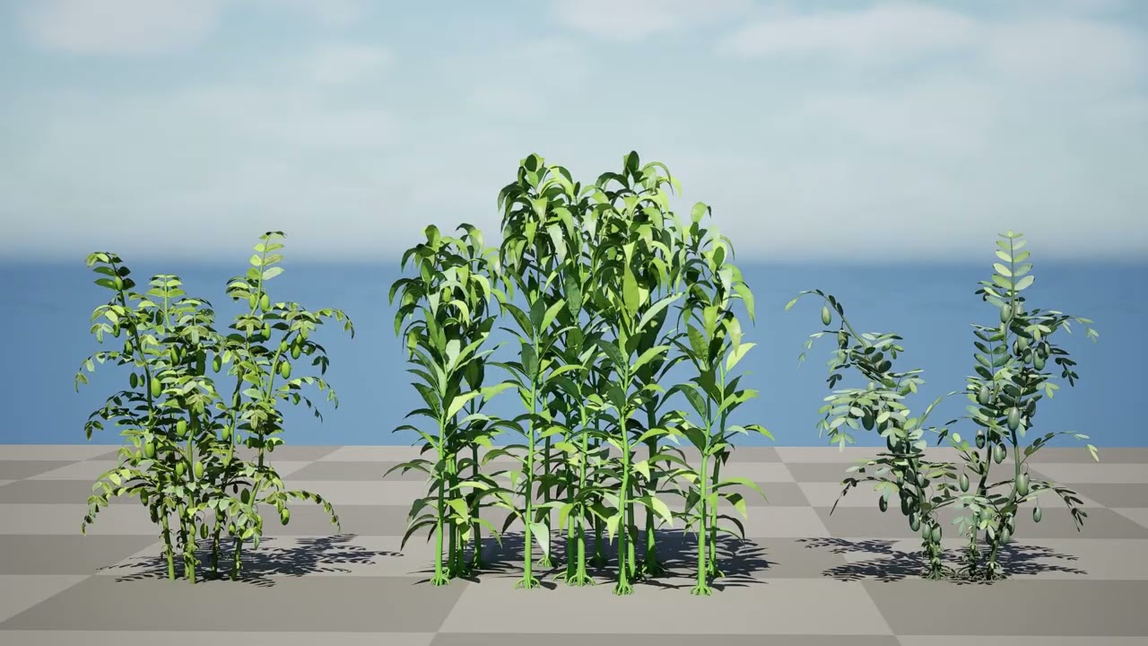 Cole&ccedil;&atilde;o de Culturas Agr&iacute;colas &Aacute;rabes Modelo 3D