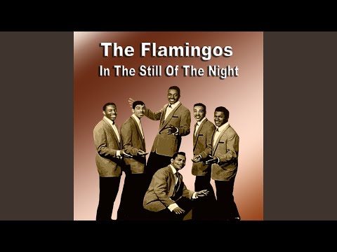 Nobody Loves Me Like You