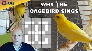 Say What You See!