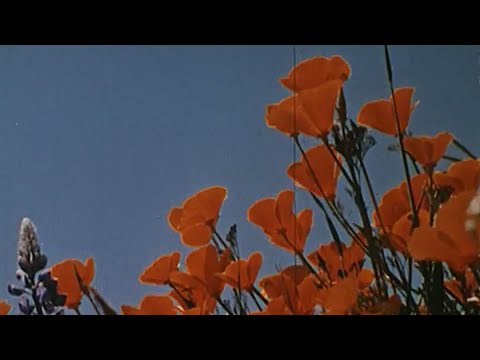 For When You Can't Breathe - happybirthday (2019 demo)