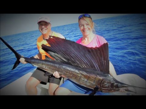 la pêche de l'espadon avec didier courtois au mexique. pêche en mer .