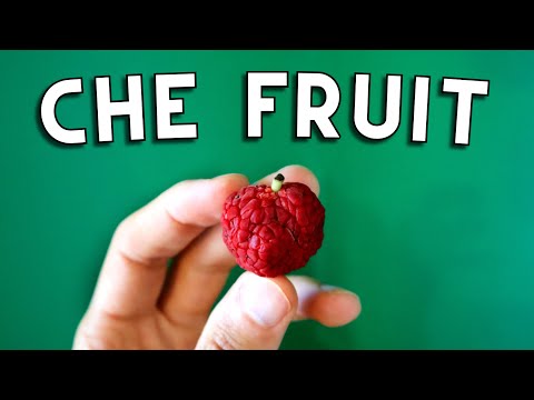 CHE FRUIT - A Fascinating Lumpy Fruit Related to Osage Oranges, Jackfruit and Mulberries!