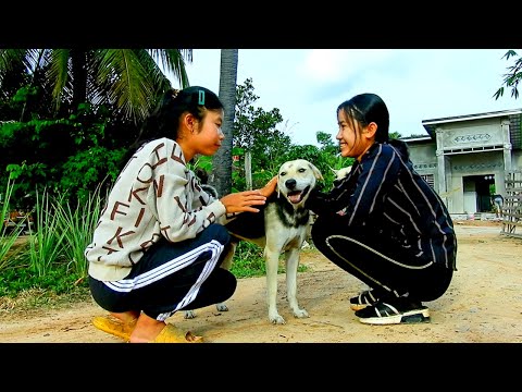 B-EA-U-TI=FUL GI=RL Feed S+T=AR-VE D+O-G At My Village