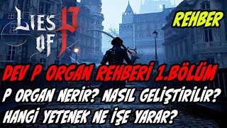 LIES OF P | DEV P ORGAN REHBERİ 1.BÖLÜM