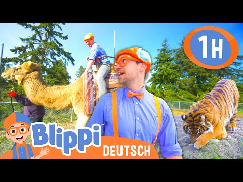 Blippi besucht einen Zoo 🐯 | Blippi Deutsch - | Abenteuer und Videos für Kinder