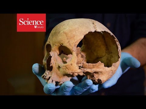 Feeding the gods: Hundreds of skulls reveal massive scale of human sacrifice in Aztec capital