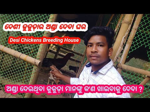 , title : 'Desi Chickens Breeding House||Desi Chickens Eggs Laying House'