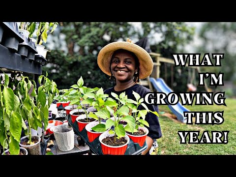 What I’m Growing in 2026 🌱 + Spacing Tips, Containers & Raised Beds  | Vego Garden Gifts unboxing!