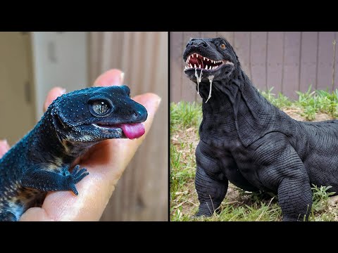 ANTES E DEPOIS DE ANIMAIS CRESCENDO. TRANSFORMAÇÕES ANIMAIS INCRÍVEIS