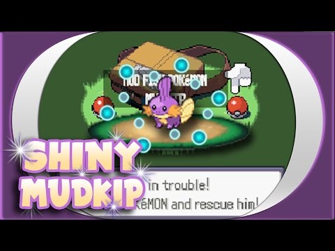 LIVE! Shiny Mudkip after 5,904 SRs!!!