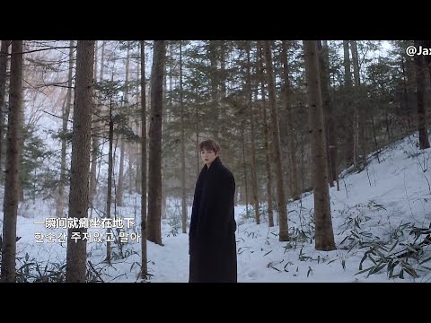 【中韓字幕】DAVICHI - Days without you (中字MV)