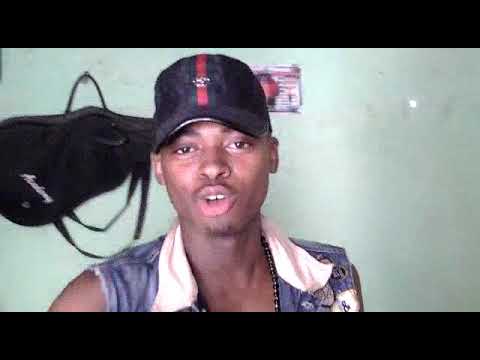 Pt querido de família Colméia