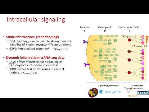 scSeqComm: a statistical and network-based framework... - Giacomo Baruzzo - NetBio - ISMB/ECCB 2023