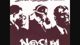 Nasum -Skitsystem -