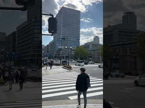 令和7年（2025）11月15日午後1時頃、大阪市役所前の通りにかかる大江橋南詰の様子