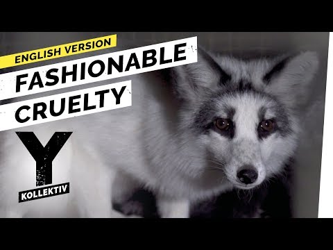Fashionable Cruelty – Inside Poland’s Fur Industry I Y-Kollektiv English Version