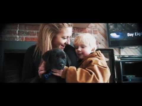 A Better Way From Fired To Freedom