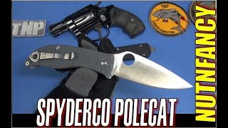 Spyderco Polestar (C220GPGY) - відео 2