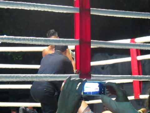Muay Thai Chiang Mai Knockout aftereffect