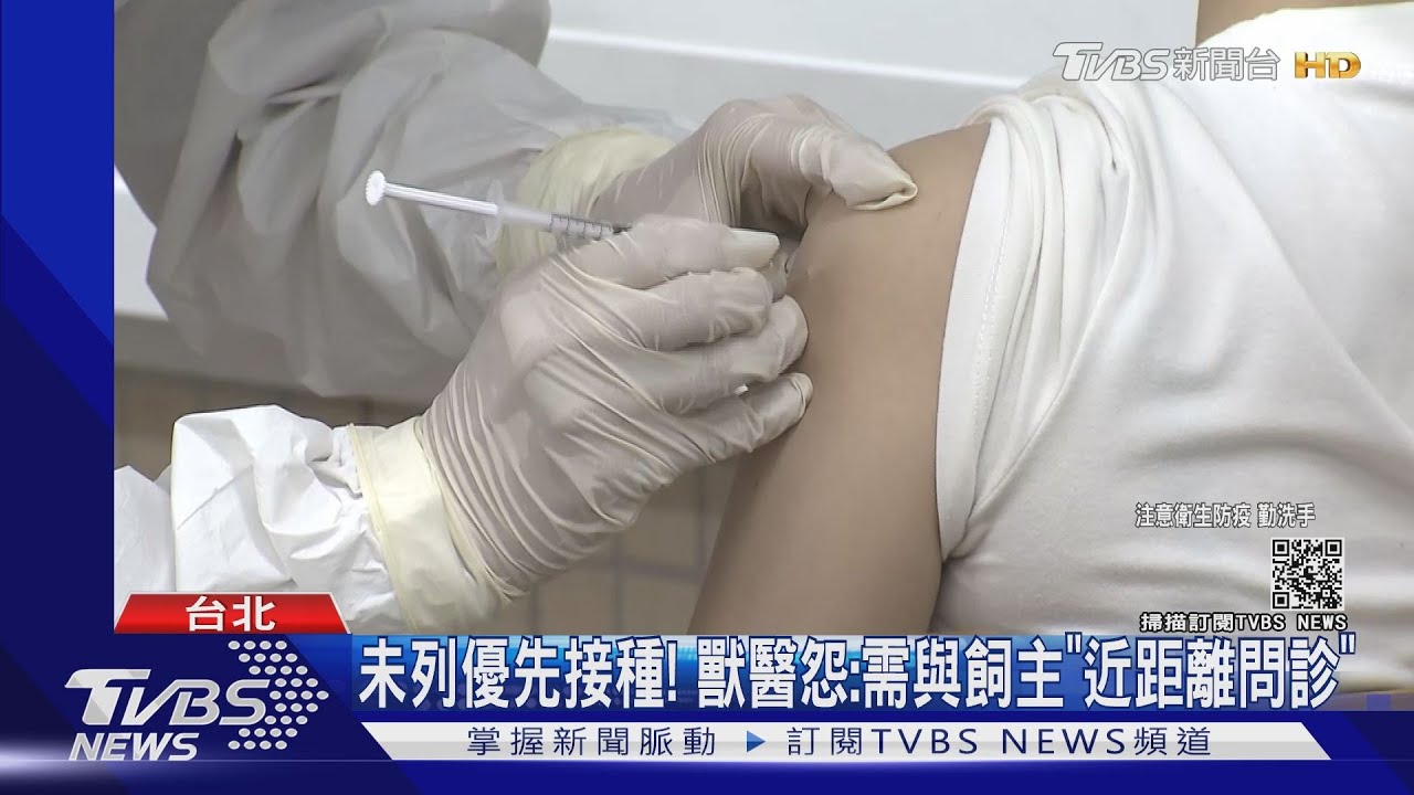 公費接種獸醫「被消失」　北市率先「列專案」