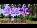 A Tour Around Winsen (Luhe)in Lower Saxony, Germany|Winsen Moated Castle|Luhe Playground|Luhe Garden