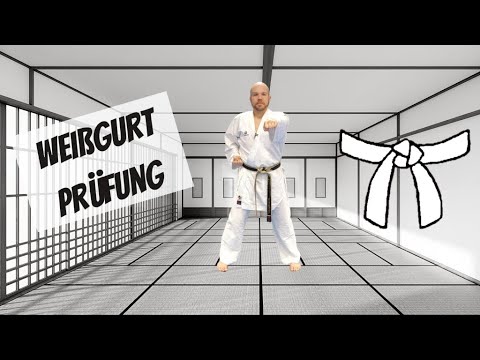 Werde Karate-Meister 1/10: Weißgurt Shotokan Prüfungsprogramm Kihon (9. Kyu, DKV)