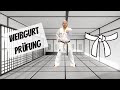 Werde Karate Meister 1 10 Weißgurt Shotokan Prüfungsprogramm Kihon 9 Kyu DKV